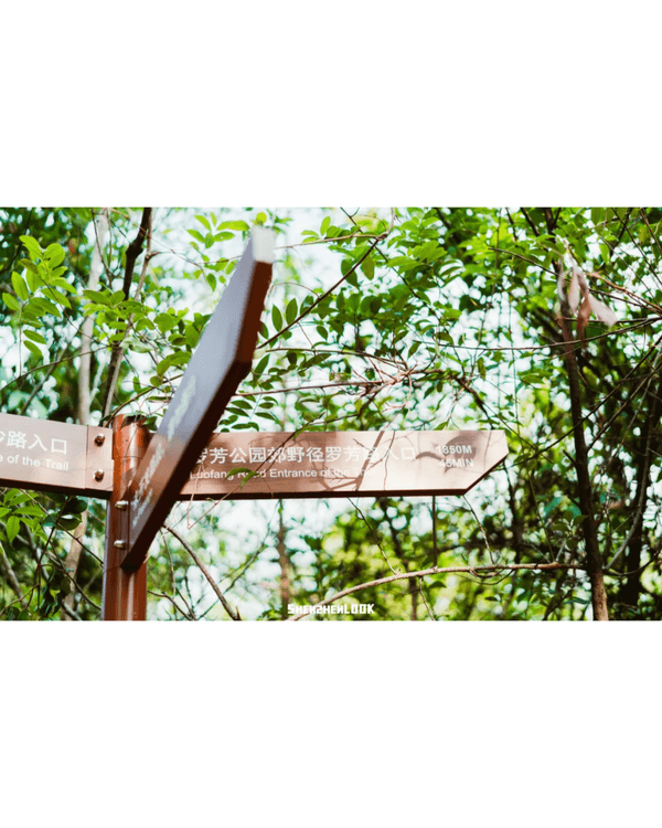 深圳羅湖首條寵物友善郊野徑🐶🌿2km全柔軟土路💚啱晒帶毛孩子北上行山放電🐕