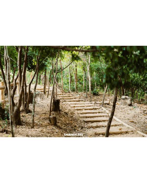 深圳羅湖首條寵物友善郊野徑🐶🌿2km全柔軟土路💚啱晒帶毛孩子北上行山放電🐕