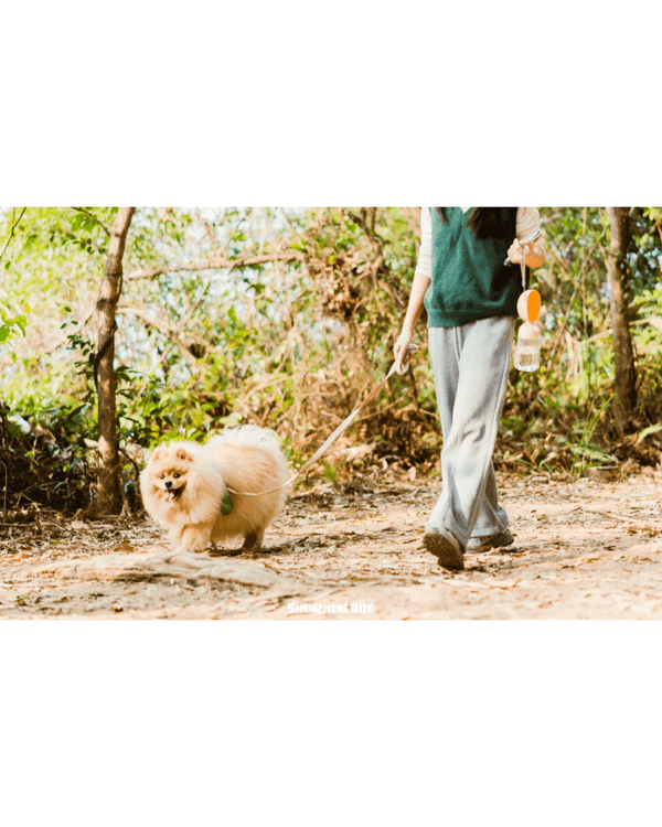 深圳羅湖首條寵物友善郊野徑🐶🌿2km全柔軟土路💚啱晒帶毛孩子北上行山放電🐕