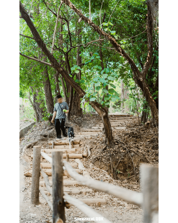 深圳羅湖首條寵物友善郊野徑🐶🌿2km全柔軟土路💚啱晒帶毛孩子北上行山放電🐕