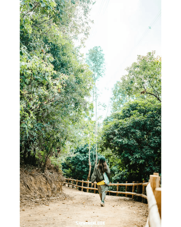 深圳羅湖首條寵物友善郊野徑🐶🌿2km全柔軟土路💚啱晒帶毛孩子北上行山放電🐕