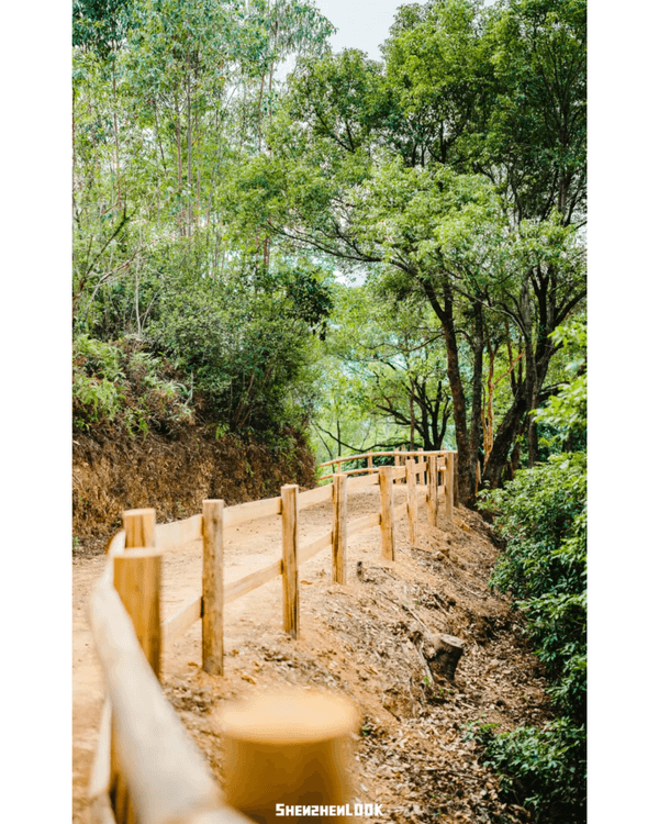 深圳羅湖首條寵物友善郊野徑🐶🌿2km全柔軟土路💚啱晒帶毛孩子北上行山放電🐕