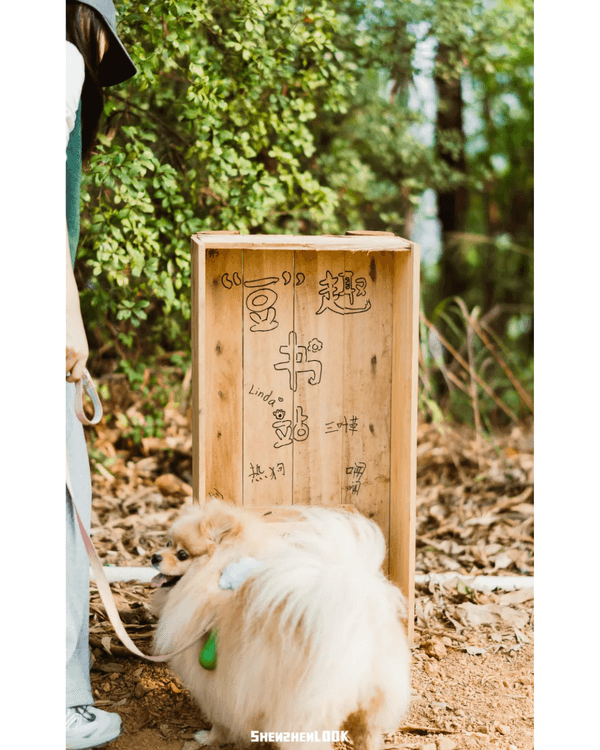 深圳羅湖首條寵物友善郊野徑🐶🌿2km全柔軟土路💚啱晒帶毛孩子北上行山放電🐕