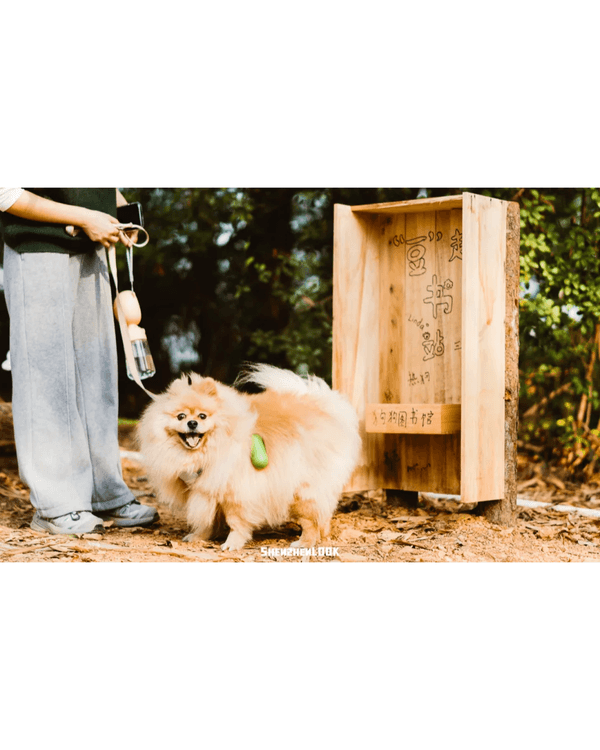 深圳羅湖首條寵物友善郊野徑🐶🌿2km全柔軟土路💚啱晒帶毛孩子北上行山放電🐕