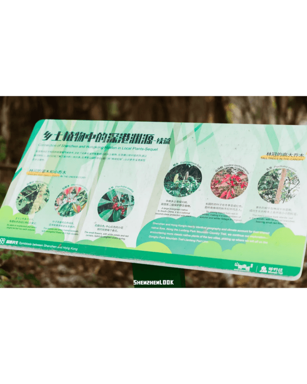 深圳羅湖首條寵物友善郊野徑🐶🌿2km全柔軟土路💚啱晒帶毛孩子北上行山放電🐕