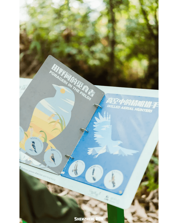 深圳羅湖首條寵物友善郊野徑🐶🌿2km全柔軟土路💚啱晒帶毛孩子北上行山放電🐕