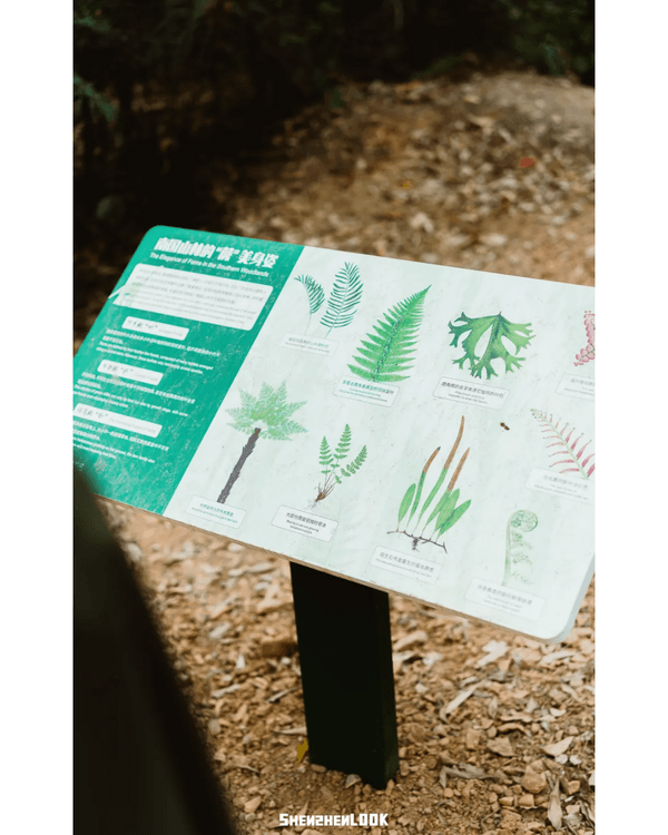 深圳羅湖首條寵物友善郊野徑🐶🌿2km全柔軟土路💚啱晒帶毛孩子北上行山放電🐕