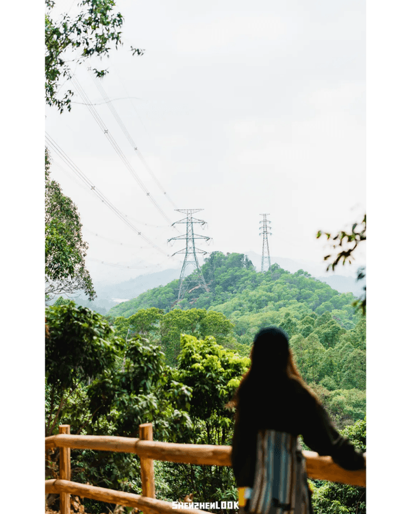 深圳羅湖首條寵物友善郊野徑🐶🌿2km全柔軟土路💚啱晒帶毛孩子北上行山放電🐕