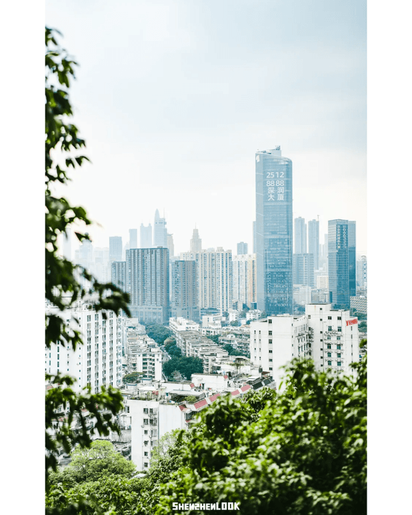 深圳羅湖首條寵物友善郊野徑🐶🌿2km全柔軟土路💚啱晒帶毛孩子北上行山放電🐕