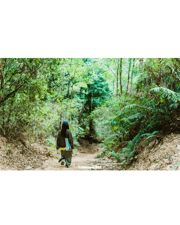 深圳羅湖首條寵物友善郊野徑🐶🌿2km全柔軟土路💚啱晒帶毛孩子北上行山放電🐕