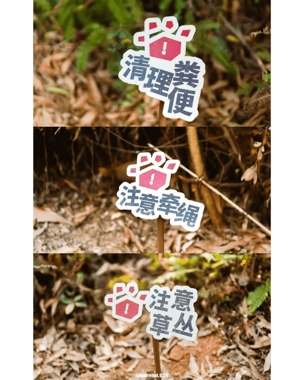 深圳羅湖首條寵物友善郊野徑🐶🌿2km全柔軟土路💚啱晒帶毛孩子北上行山放電🐕