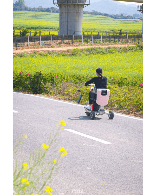 深圳光明千畝油菜花海盛開🏵️宮崎駿同款春日限定景色必打卡😍仲免費入場💛