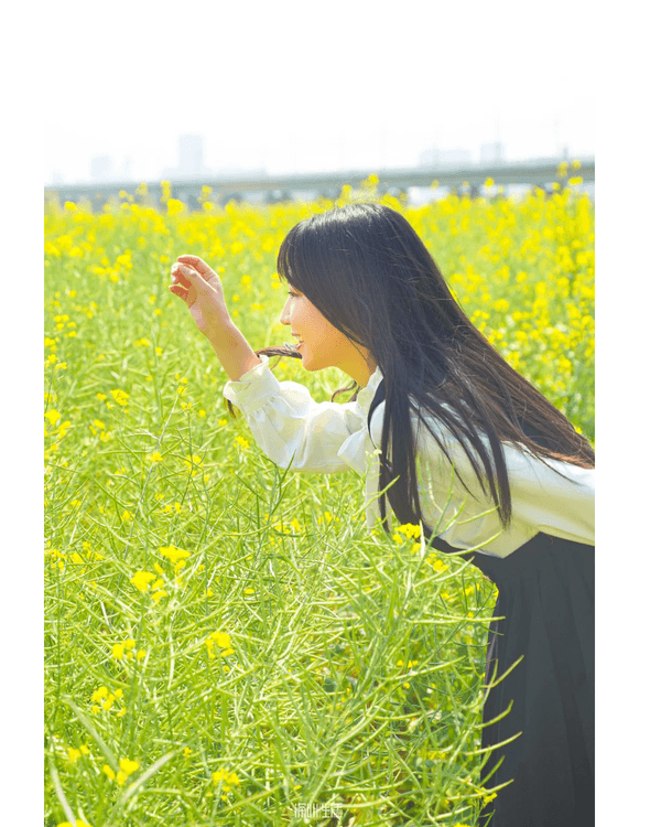 深圳光明千畝油菜花海盛開🏵️宮崎駿同款春日限定景色必打卡😍仲免費入場💛