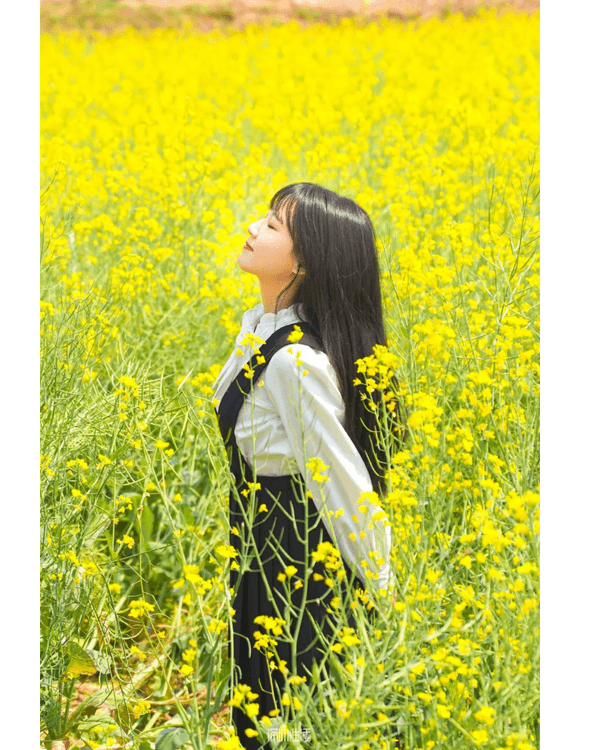 深圳光明千畝油菜花海盛開🏵️宮崎駿同款春日限定景色必打卡😍仲免費入場💛