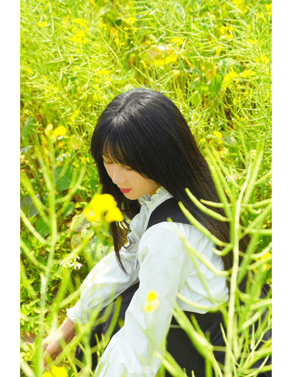 深圳光明千畝油菜花海盛開🏵️宮崎駿同款春日限定景色必打卡😍仲免費入場💛