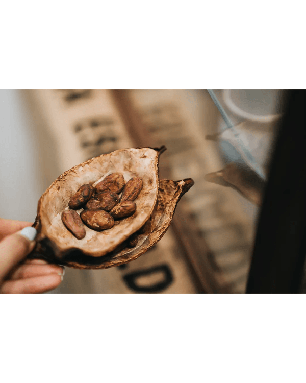 深圳6間精品朱古力專門店🍫必試人氣迪拜朱古力、可可殼茶🫘仲可以現場睇製作流程😍