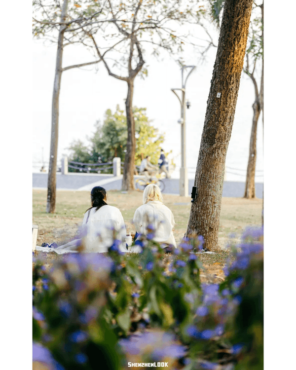 深圳10大絕美春季賞花攻略🌸人民公園月季展、簕杜鵑花海必打卡✨附地點花期資訊