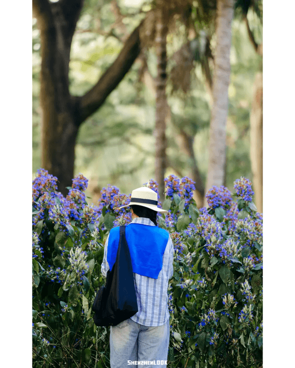 深圳10大絕美春季賞花攻略🌸人民公園月季展、簕杜鵑花海必打卡✨附地點花期資訊