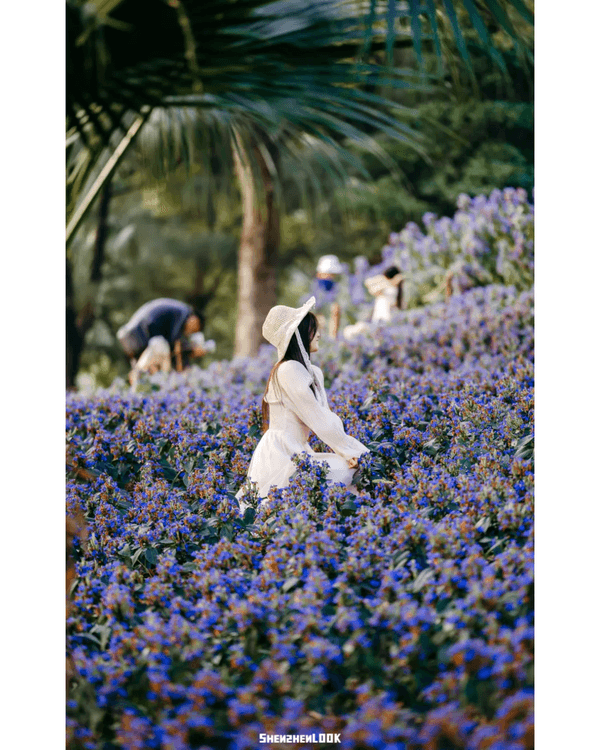 深圳10大絕美春季賞花攻略🌸人民公園月季展、簕杜鵑花海必打卡✨附地點花期資訊
