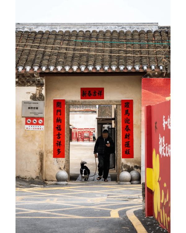 深圳坑梓一日Citywalk路線推介🌿漫步打卡清代圍屋🏠客家特色Cafe超寫意☕️📸