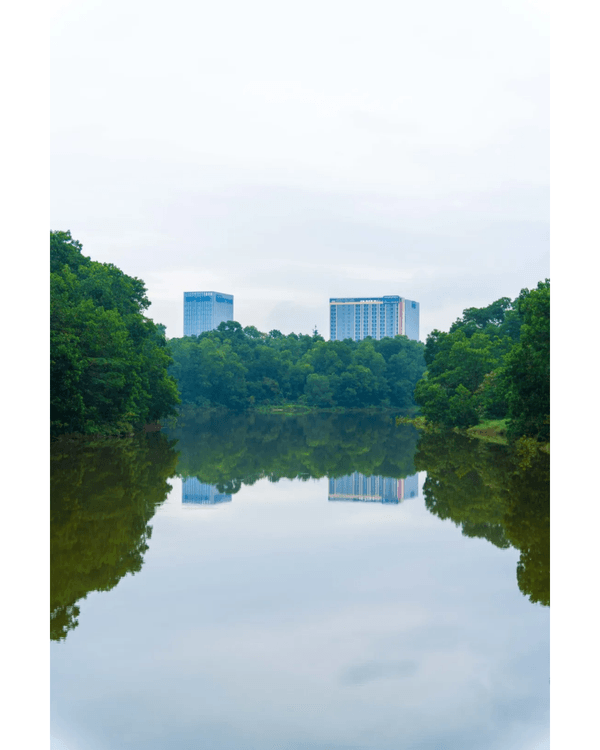 深圳坑梓一日Citywalk路線推介🌿漫步打卡清代圍屋🏠客家特色Cafe超寫意☕️📸