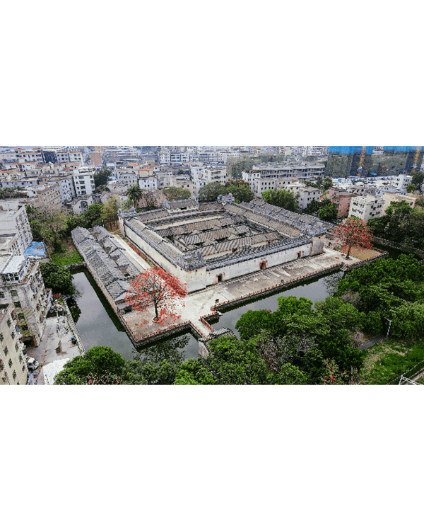 深圳坑梓一日Citywalk路線推介🌿漫步打卡清代圍屋🏠客家特色Cafe超寫意☕️📸