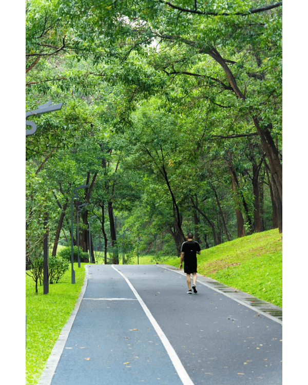 深圳坑梓一日Citywalk路線推介🌿漫步打卡清代圍屋🏠客家特色Cafe超寫意☕️📸