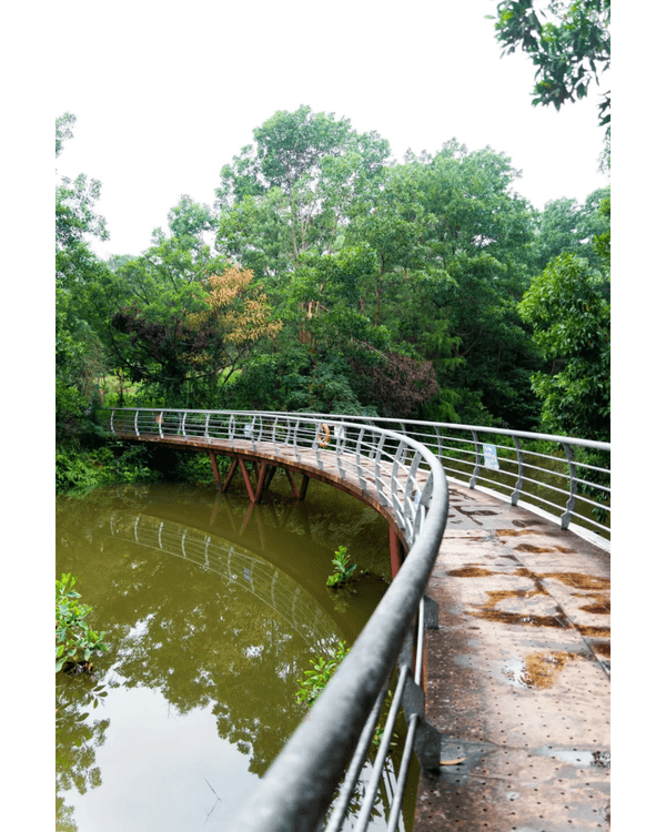 深圳坑梓一日Citywalk路線推介🌿漫步打卡清代圍屋🏠客家特色Cafe超寫意☕️📸