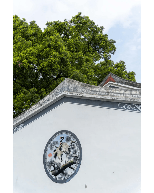 深圳坑梓一日Citywalk路線推介🌿漫步打卡清代圍屋🏠客家特色Cafe超寫意☕️📸