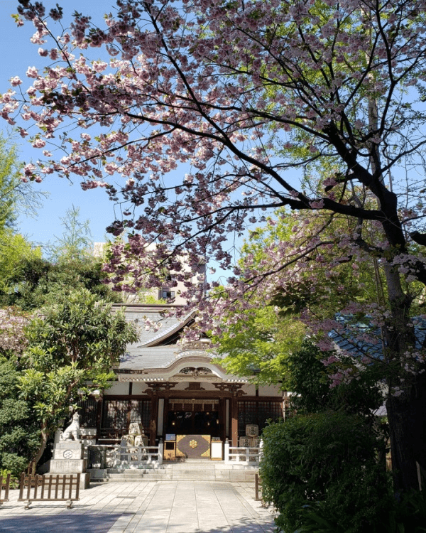 日本旅行13大追星神社推介⛩️求搶飛+偶像見面機率勁靈驗😍仲有3間ARASHI粉絲必拜🔥