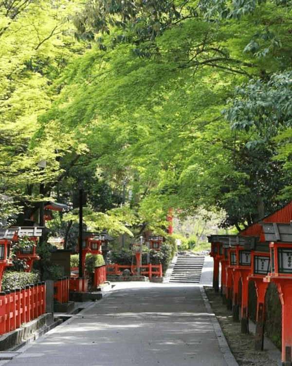 日本旅行13大追星神社推介⛩️求搶飛+偶像見面機率勁靈驗😍仲有3間ARASHI粉絲必拜🔥
