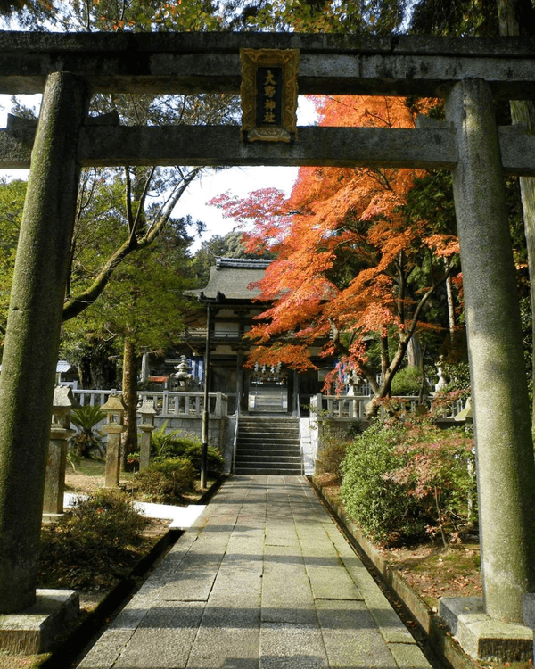 日本旅行13大追星神社推介⛩️求搶飛+偶像見面機率勁靈驗😍仲有3間ARASHI粉絲必拜🔥
