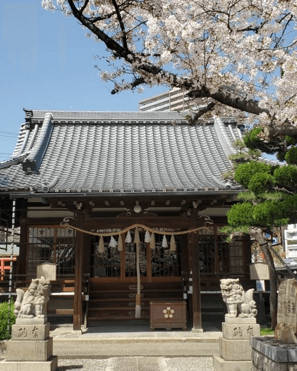 日本旅行13大追星神社推介⛩️求搶飛+偶像見面機率勁靈驗😍仲有3間ARASHI粉絲必拜🔥