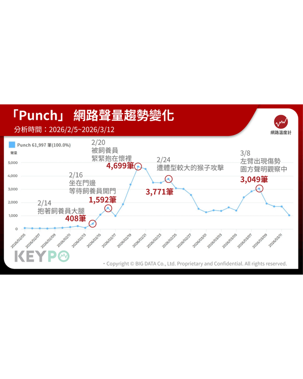 日本馬騮Punch攬實公仔爆紅🐒❗️返猴群被排擠畫面勁心酸🥺揭孤兒猴成長故事+近況
