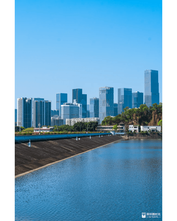深圳4大週末郊遊必去水庫推介🤩💧漫畫大草坪、湖光塔打卡放鬆首選🌿