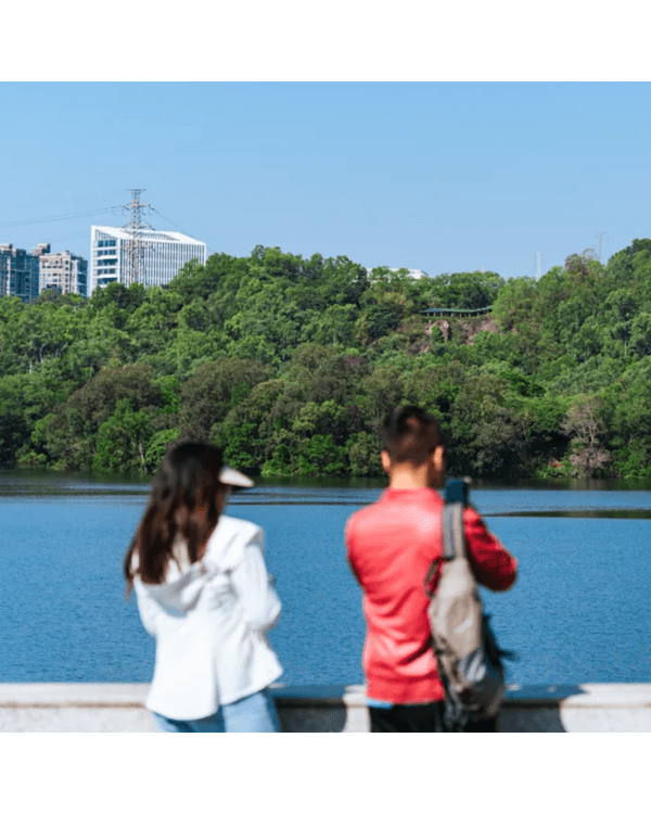 深圳4大週末郊遊必去水庫推介🤩💧漫畫大草坪、湖光塔打卡放鬆首選🌿