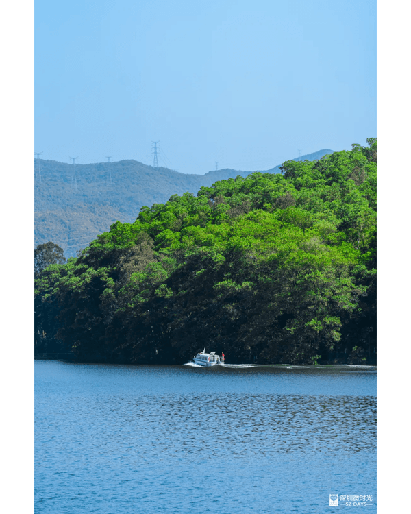 深圳4大週末郊遊必去水庫推介🤩💧漫畫大草坪、湖光塔打卡放鬆首選🌿