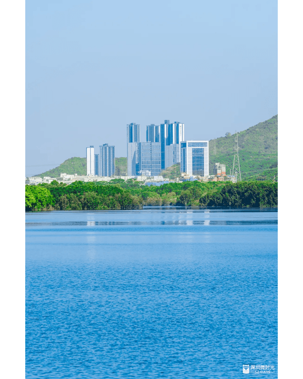 深圳4大週末郊遊必去水庫推介🤩💧漫畫大草坪、湖光塔打卡放鬆首選🌿