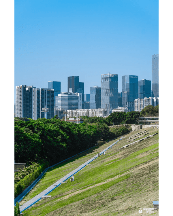 深圳4大週末郊遊必去水庫推介🤩💧漫畫大草坪、湖光塔打卡放鬆首選🌿