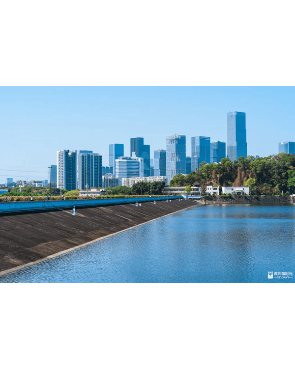 深圳4大週末郊遊必去水庫推介🤩💧漫畫大草坪、湖光塔打卡放鬆首選🌿
