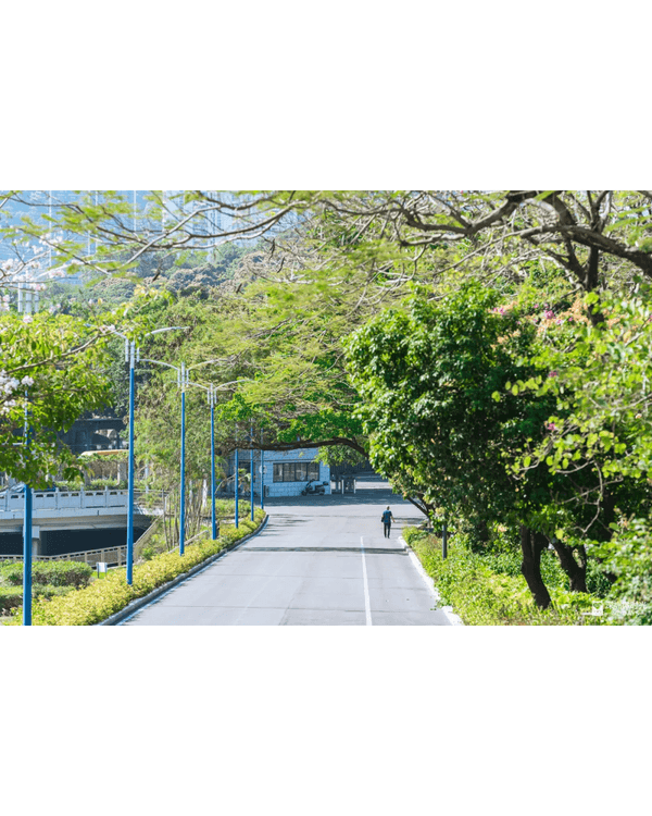 深圳4大週末郊遊必去水庫推介🤩💧漫畫大草坪、湖光塔打卡放鬆首選🌿