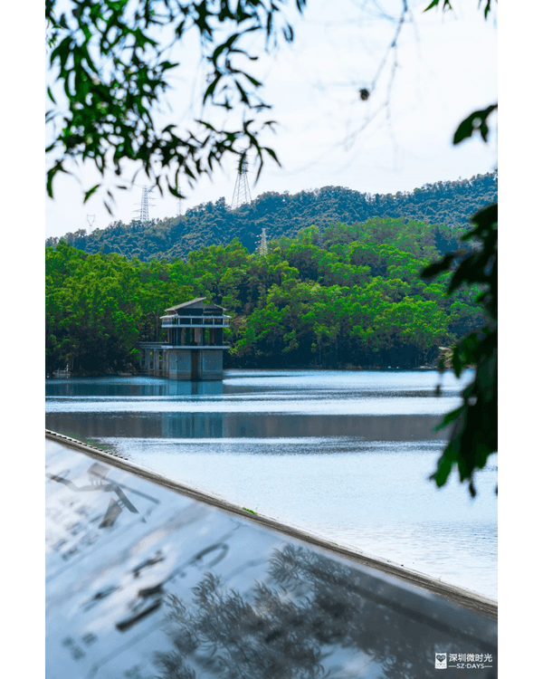深圳4大週末郊遊必去水庫推介🤩💧漫畫大草坪、湖光塔打卡放鬆首選🌿
