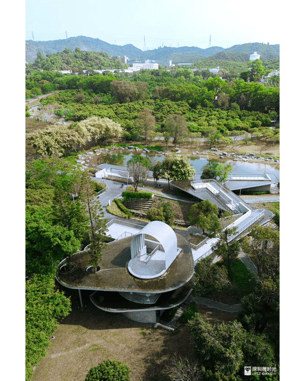 深圳4大週末郊遊必去水庫推介🤩💧漫畫大草坪、湖光塔打卡放鬆首選🌿