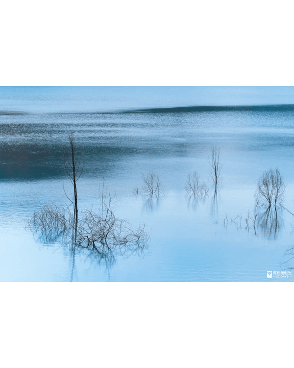深圳4大週末郊遊必去水庫推介🤩💧漫畫大草坪、湖光塔打卡放鬆首選🌿