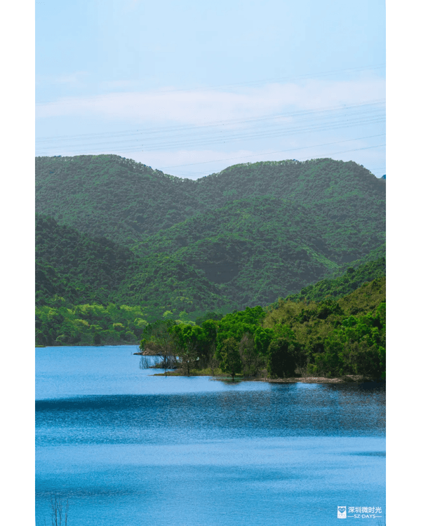 深圳4大週末郊遊必去水庫推介🤩💧漫畫大草坪、湖光塔打卡放鬆首選🌿