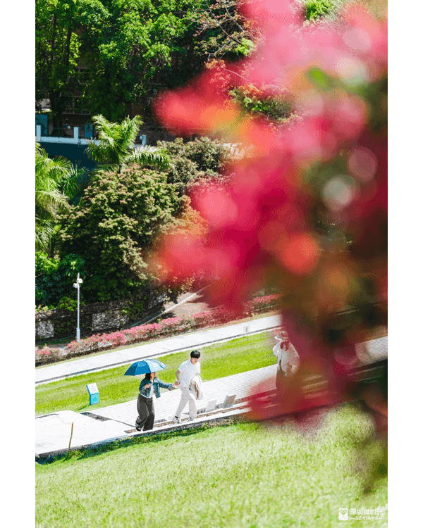 深圳4大週末郊遊必去水庫推介🤩💧漫畫大草坪、湖光塔打卡放鬆首選🌿