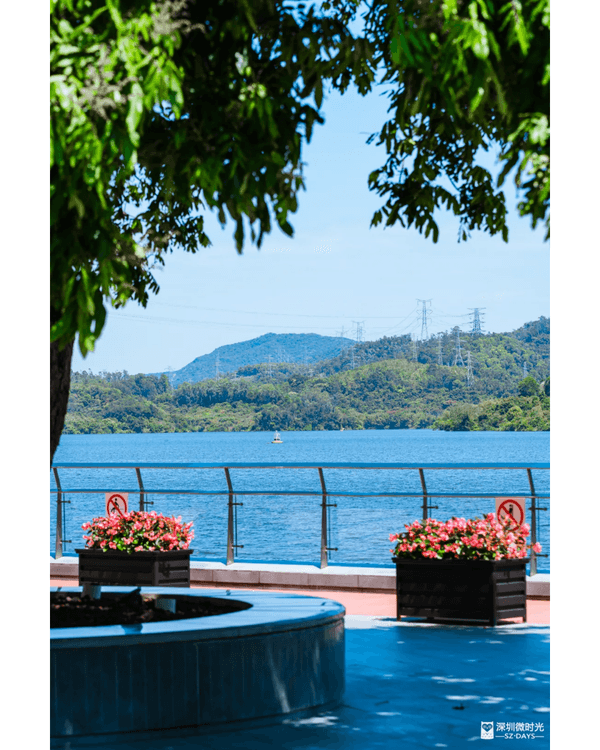 深圳4大週末郊遊必去水庫推介🤩💧漫畫大草坪、湖光塔打卡放鬆首選🌿