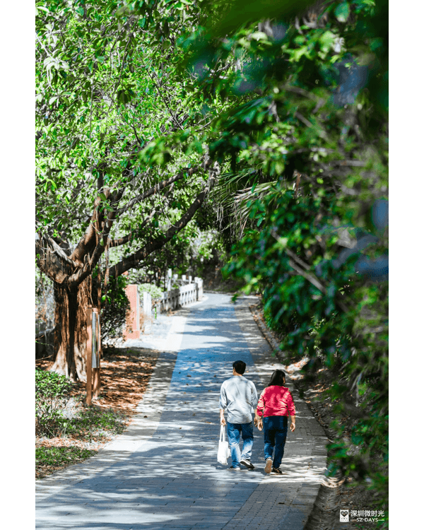 深圳4大週末郊遊必去水庫推介🤩💧漫畫大草坪、湖光塔打卡放鬆首選🌿