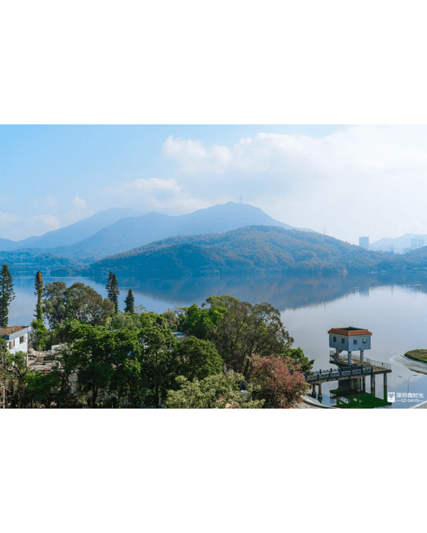 深圳4大週末郊遊必去水庫推介🤩💧漫畫大草坪、湖光塔打卡放鬆首選🌿