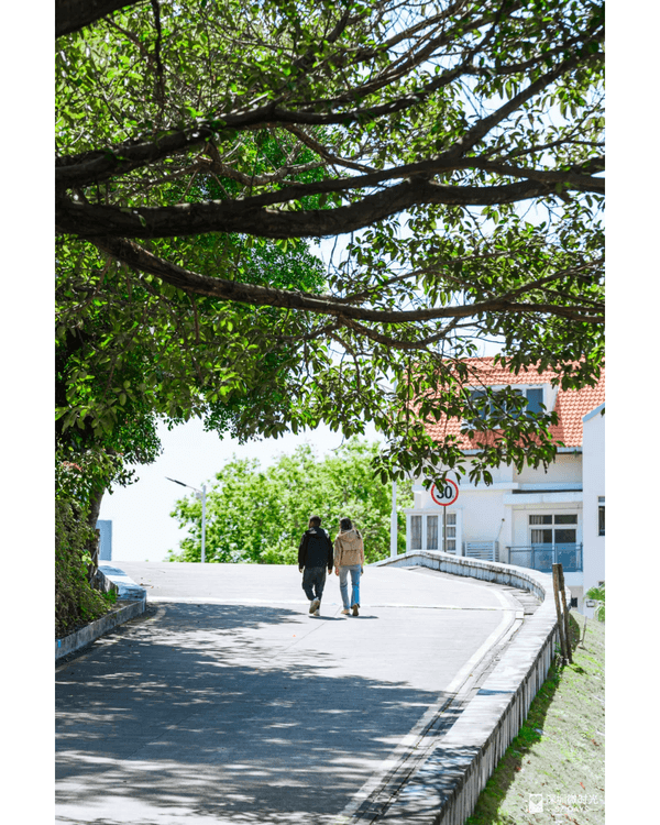 深圳4大週末郊遊必去水庫推介🤩💧漫畫大草坪、湖光塔打卡放鬆首選🌿